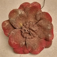brun røde kanter gammel velouragtig kunstig blomst genbrug künstliche blumen